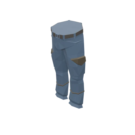 Blue Cargo Pants