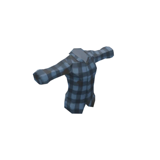 Blue Plaid Shirt