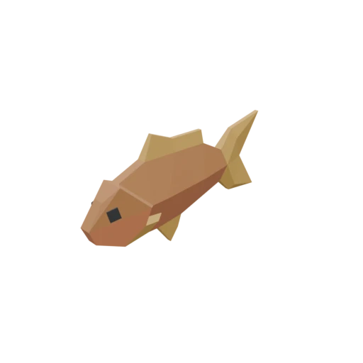 Small Raw Fish